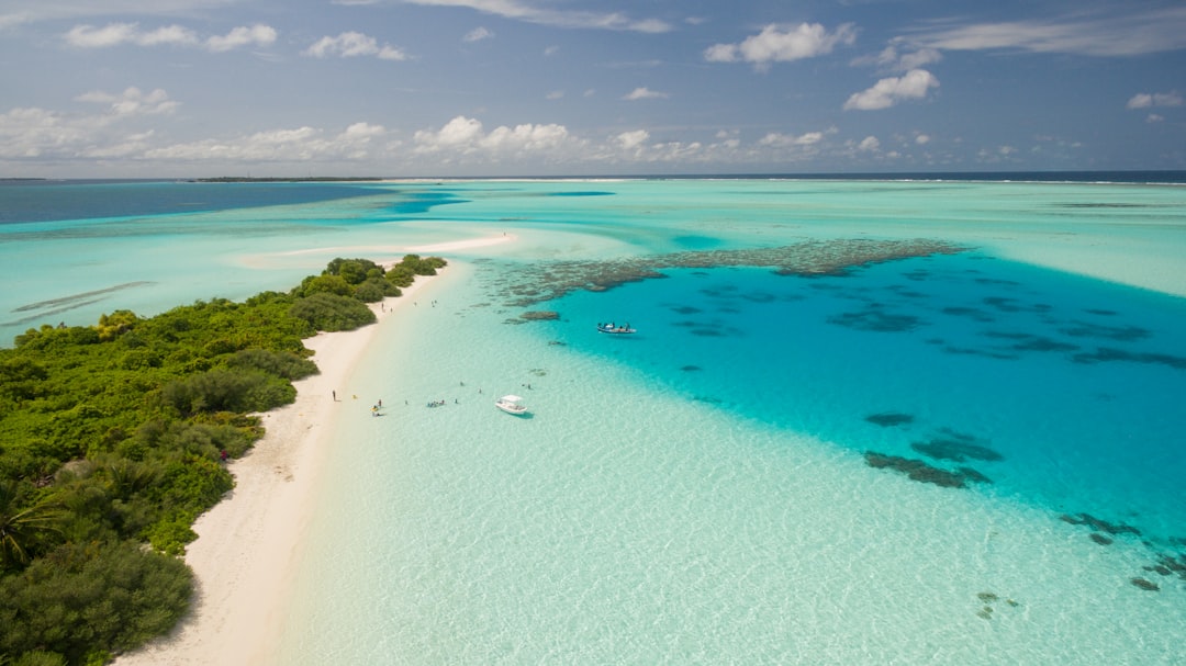 Top Travel Destinations for 2024